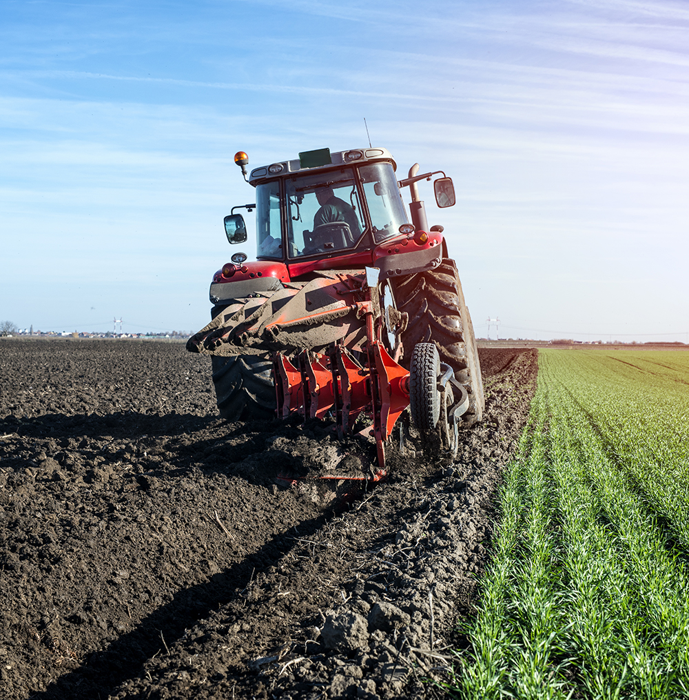 Agriculture & Food Processing